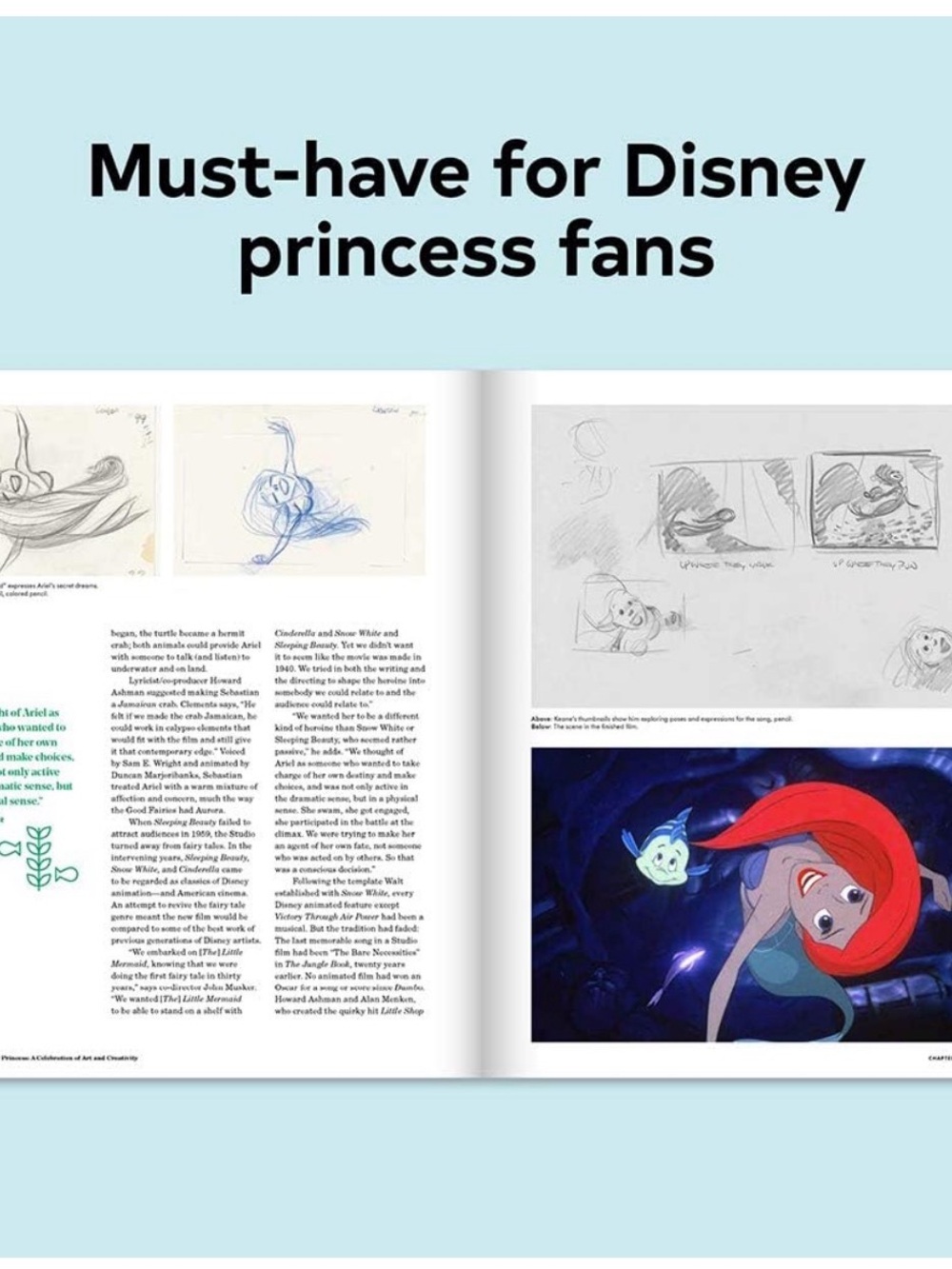 The Disney Princess: A Celebration of Art and Creativity Book - Picture 5 of 5
